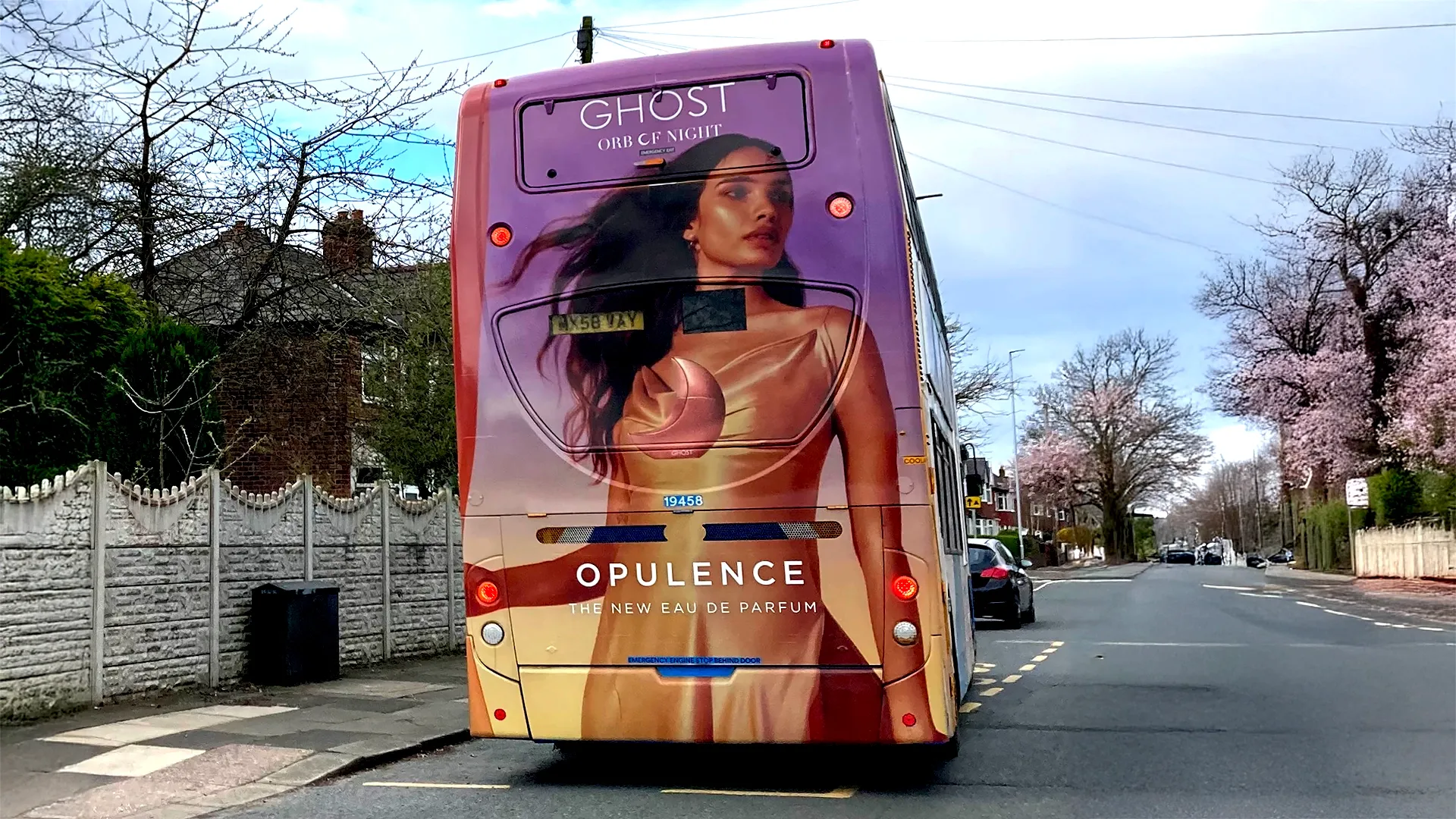 Bus Rears